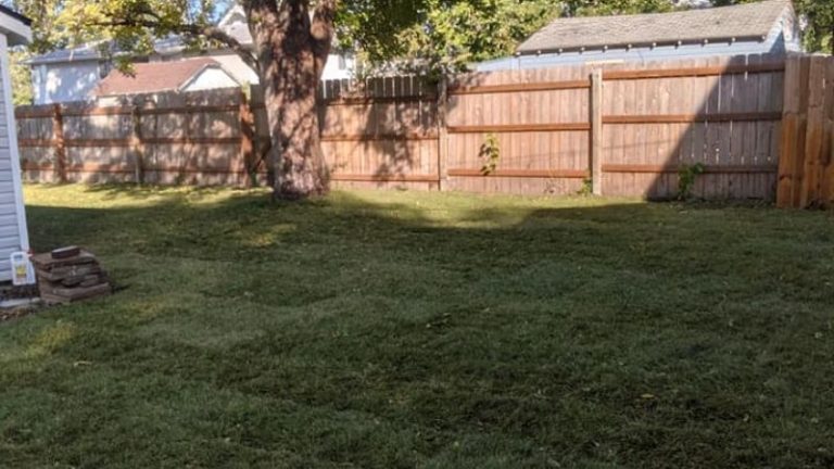 Should You Install Your New Lawn Using Seed Or Sod?