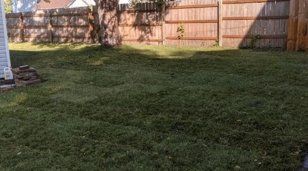 new lawn installation